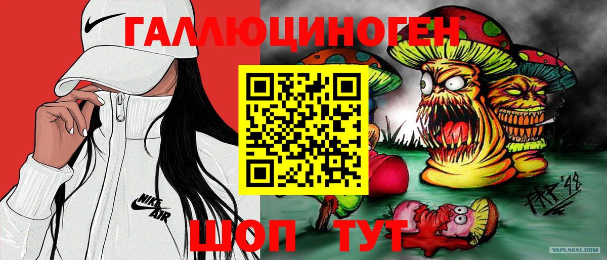 Псилоцибиновые грибы мицелий  Вход с VPN  Псилоцибиновые грибы Magic Shrooms  как найти закладки  Королёв 