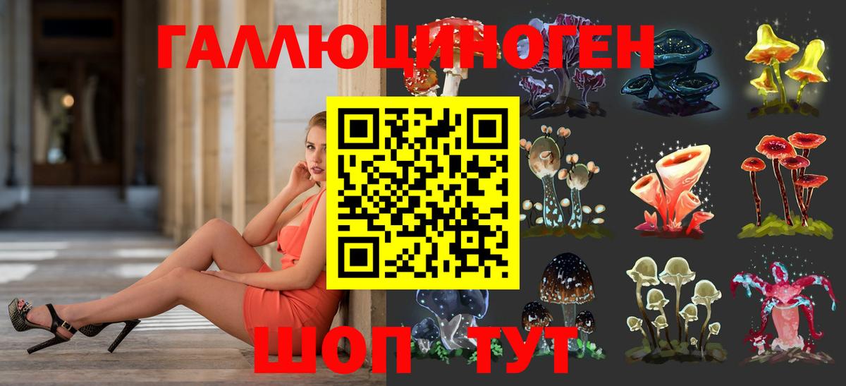 Галлюциногенные грибы Cubensis Королёв